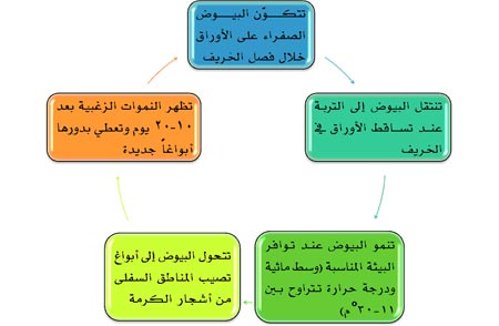 Lbs 2009 essays