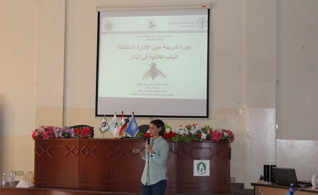 ندوة عن مكافحة ذبابة الفاكهة وآفات الزيتون في مديرية الجنوب ندوة عن مكافحة ذبابة الفاكهة وآفات الزيتون في مديرية الجنوب