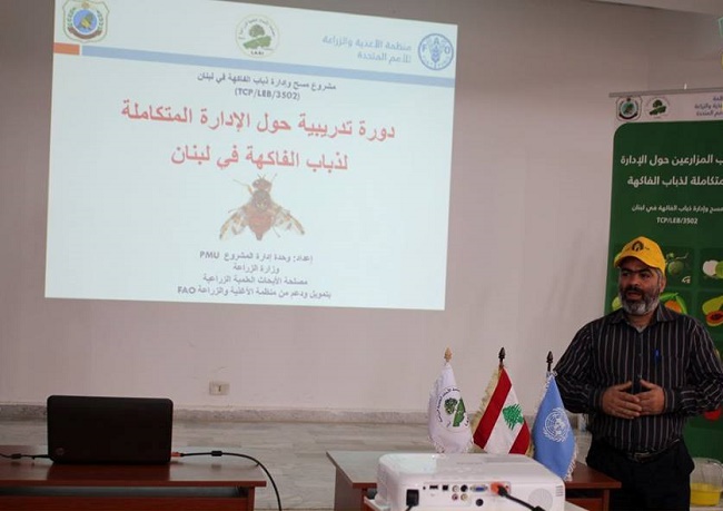 ندوة عن مكافحة ذبابة الفاكهة في النبطية ندوة عن مكافحة ذبابة الفاكهة في النبطية